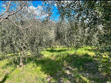 Venduta terreno edificabile