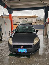 fiat punto autocarro leggi bene