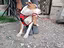 Immagine 6