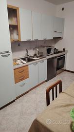 Cucina frigo forno frigo lavastoviglie piano gas