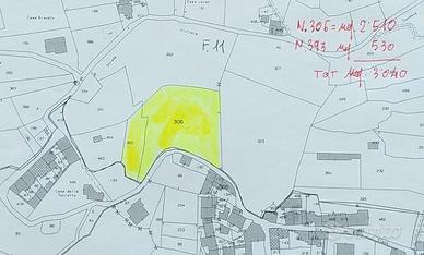 Terreno agricolo Condove (TO)