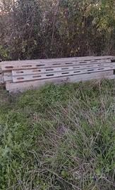 pali in cemento armato per vigna