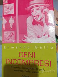 libro Ermanno gallo geni incompresi 