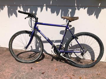 Mtb Spezzotto taglia 26