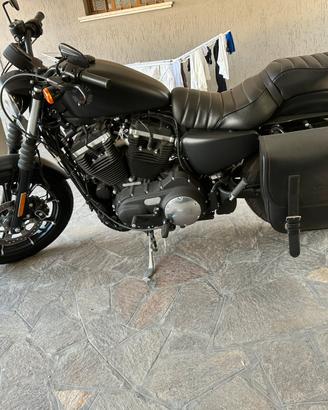 harley davidson iron 883