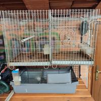 gabbie per pappagalli e coniglio
