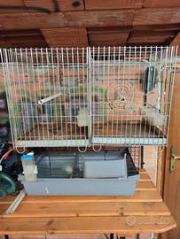 gabbie per pappagalli e coniglio