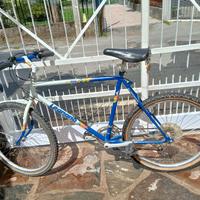 biciclette vari modelli 