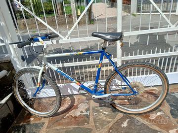 biciclette vari modelli 