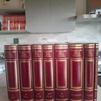 Vocabolario della  lingua Italiana Treccani