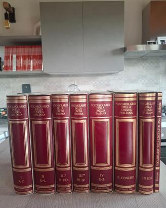 Vocabolario della  lingua Italiana Treccani