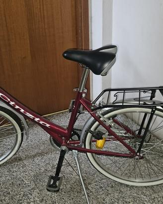 Bicicletta