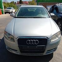 RICAMBI USATI AUTO AUDI A4 Avant (8ED) BLB, BRE Di