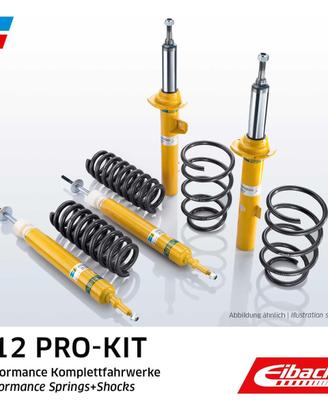 EIBACH B12 Pro-Kit E90-25-023-01-22