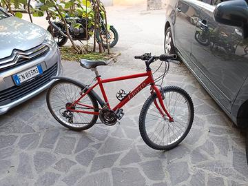 Bicicletta bambino 