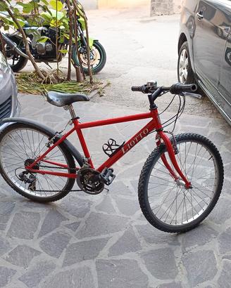 Bicicletta bambino 