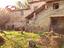 Immagine 3