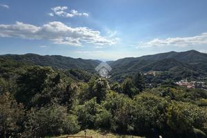 VILLA SINGOLA A STELLA