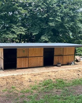 2 box cavalli 4x3m con tetto e completi di tutto