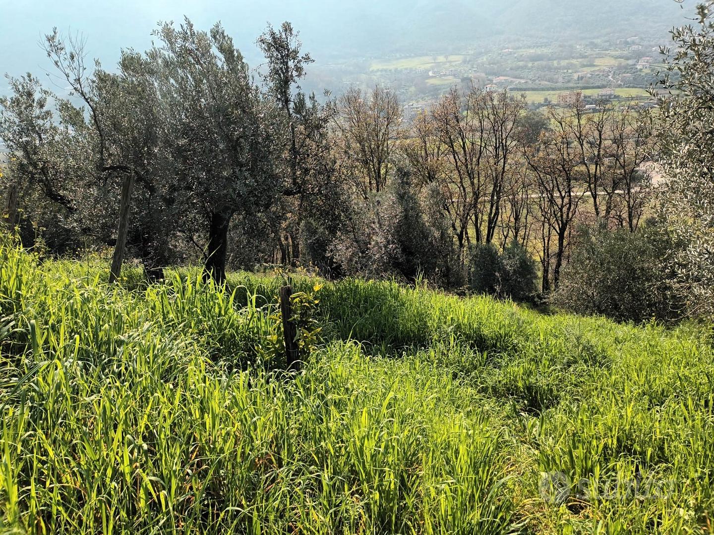 Piccolo lotto di terreno - Vista 5