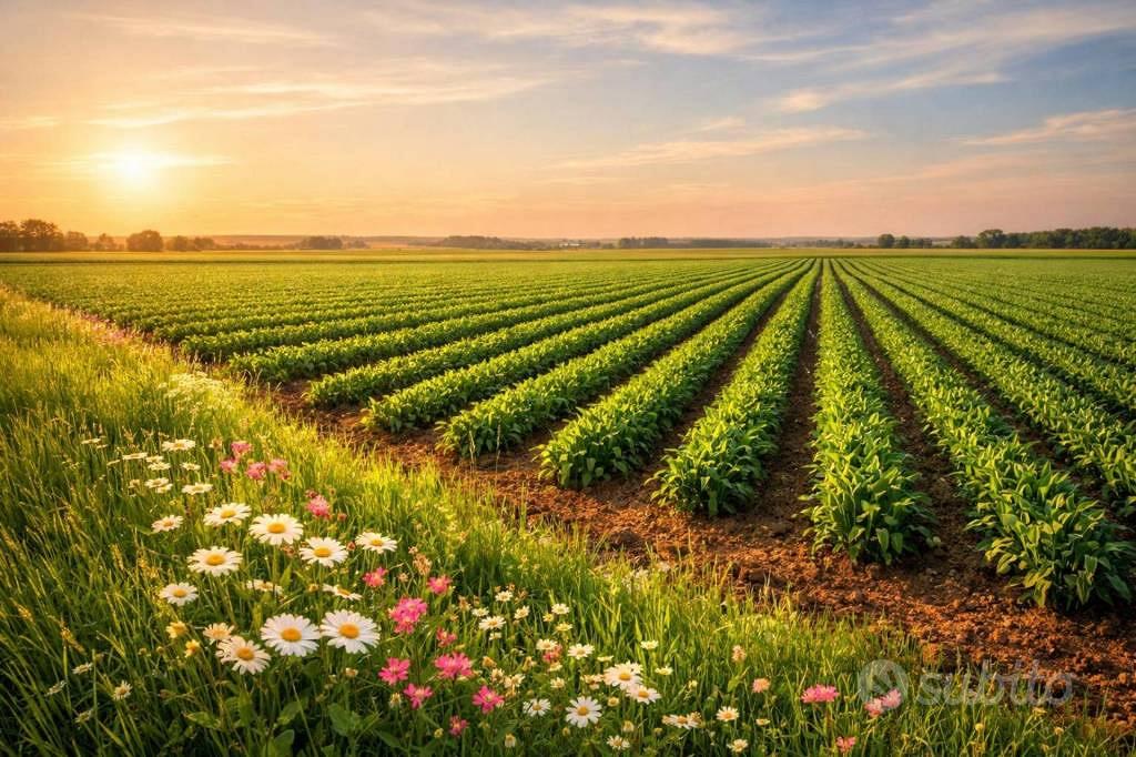 Immobile in asta di 11857 m² a Padova - Altro