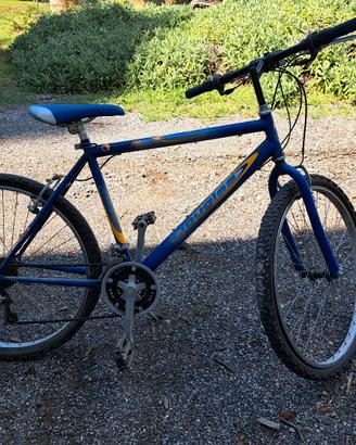 Bicicletta da uomo montagna bike