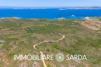 Terreno Agricolo di 10 Ettari a Pochi Passi dalle