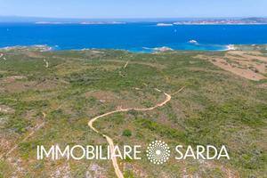 Terreno Agricolo di 10 Ettari a Pochi Passi dalle