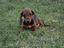 Immagine 3