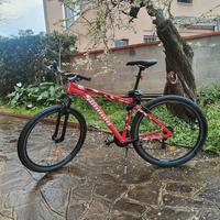 Mountain bike Spinney