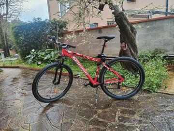 Mountain bike Spinney