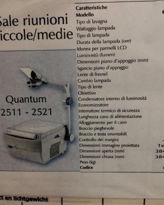 Proiettore a soffitto
