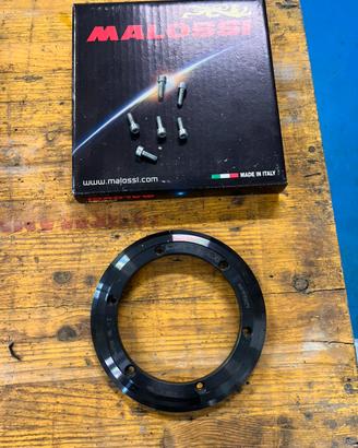 Peso aggiuntivo Malossi Vespower da 0,8 kg