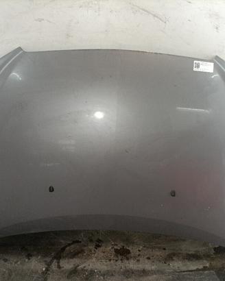 COFANO ANTERIORE CHEVROLET Aveo 2° Serie 95102827