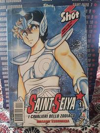 Saint Seiya - I Cavalieri dello zodiaco