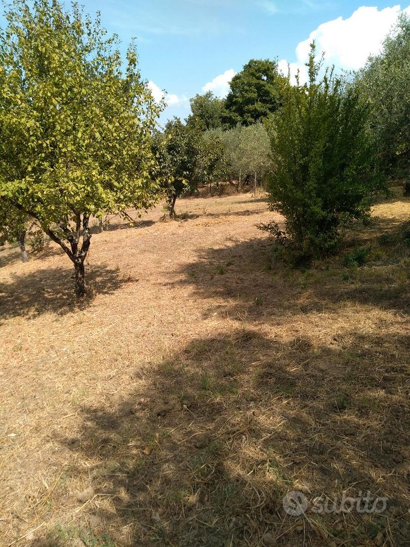 Terreno agricolo - Vista 4