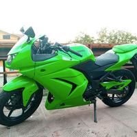 Kawasaki Ninja 250R 2010