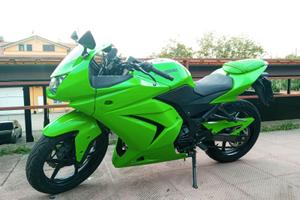 Kawasaki Ninja 250R 2010
