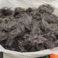 pelo di cane da filare