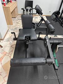 Leg ext/leg curl light kings gym