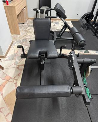 Leg ext/leg curl light kings gym