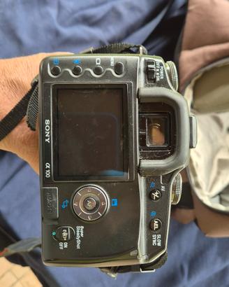 Sony N50