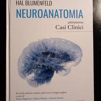Neuroanatomia attraverso casi clinici 