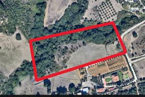 Via G. Amicizia terreno agricolo 30000 mq