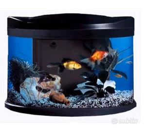 Acquario malibu’ 40