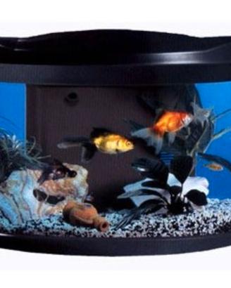 Acquario malibu’ 40