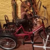 Bicicletta con tre ruote