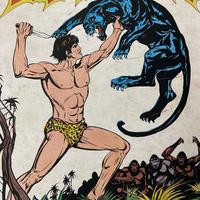 COLLEZIONE FUMETTI AKIM