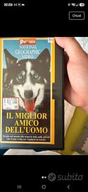 VHS il miglior amico dell'uomo  - De Agostini 