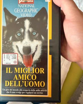VHS il miglior amico dell'uomo  - De Agostini 